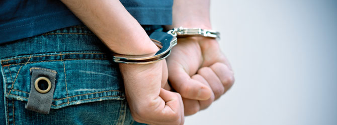 Federal and State Cases Felonies Misdeameanors