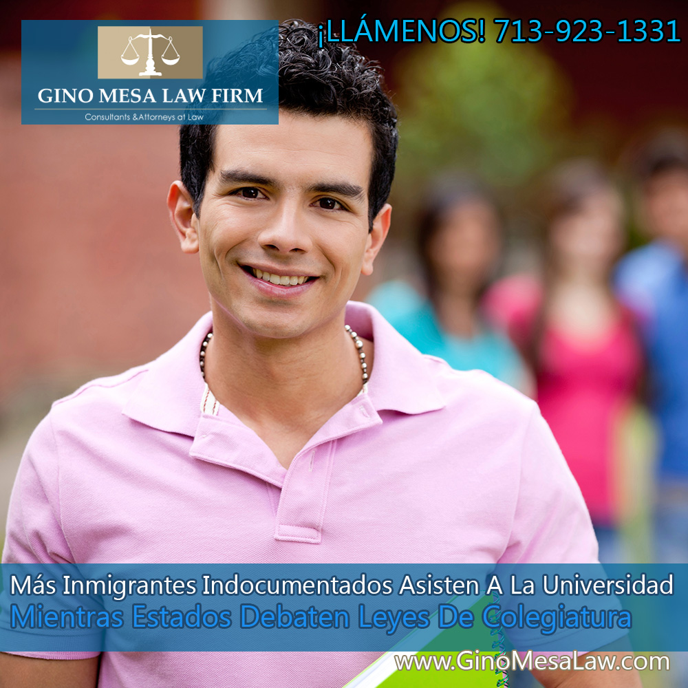 29 Gino Mesa Law Firm