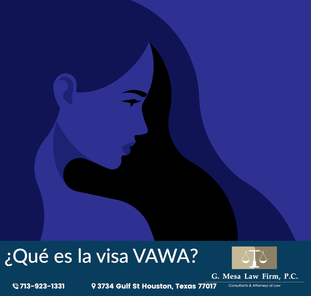 05 Peticiones VAWA en Houston