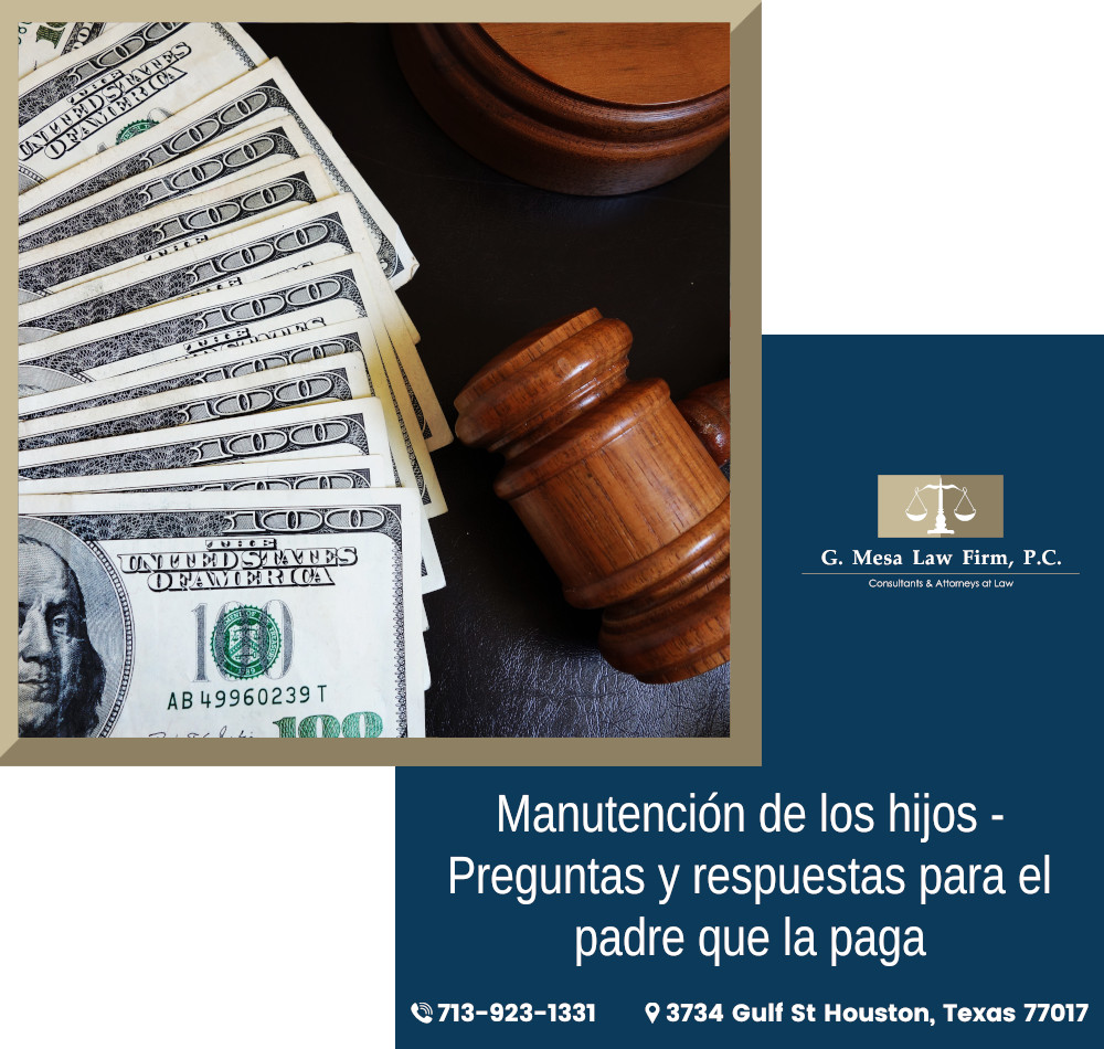 09 Abogado de Custodia de los Hijos en Houston