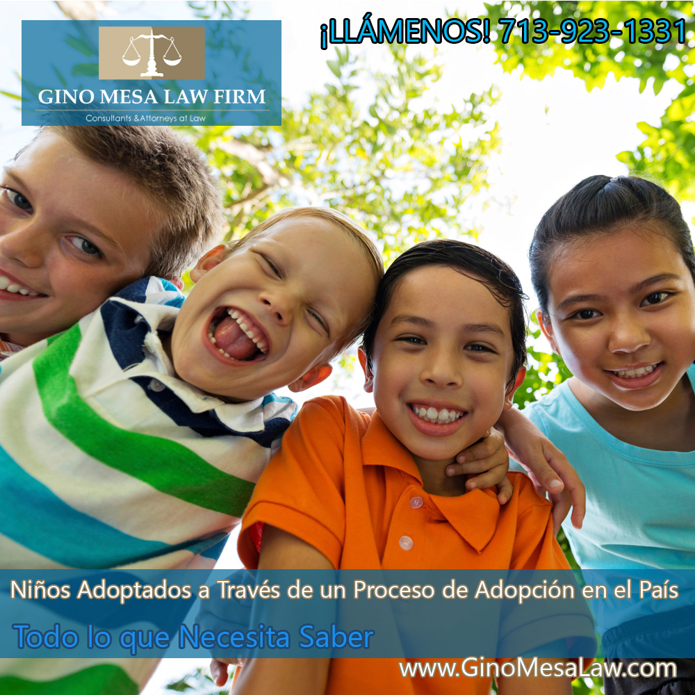 19-nios-adoptados-a-travez-de-un-proceso-de-adopcion-en-el-pais-2014