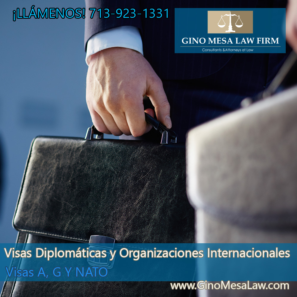 17-visas-diplomaticas-y-organizaciones-internacionales