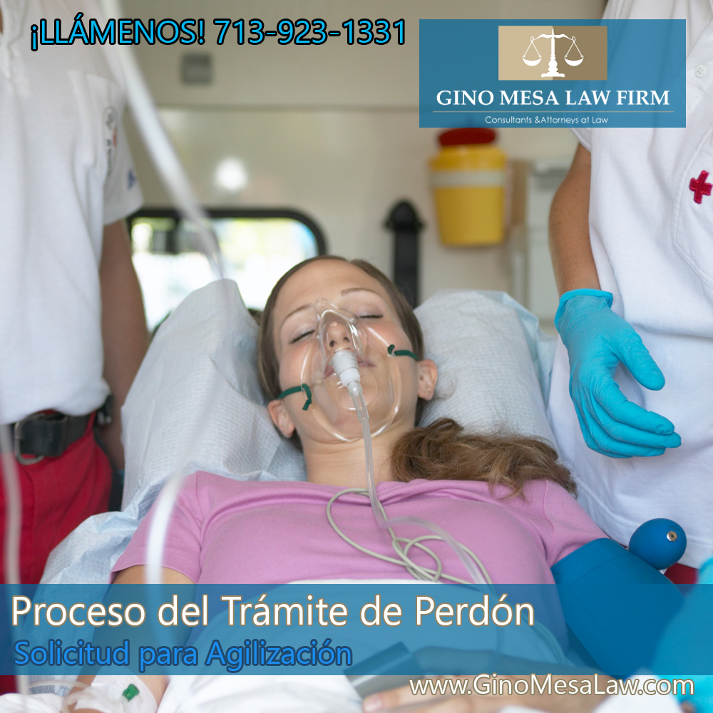 31-proceso-del-tramite-de-perdon
